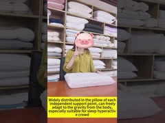 بالش بهار جیبی