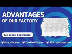 مزیت کارخانه