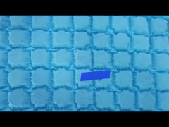 مایکرو جیبی